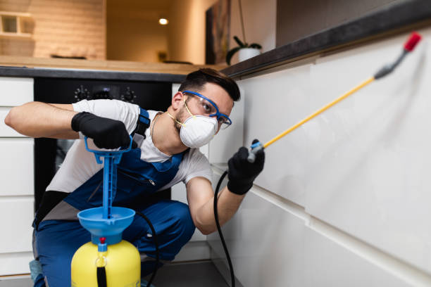 Professional Pest Control in Kenbridge, VA