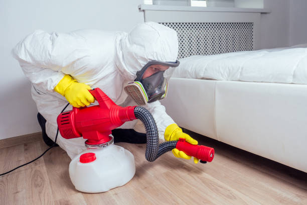Best Pest Control Treatment  in Kenbridge, VA