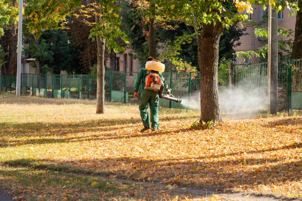 Best Wasp Removal Services  in Kenbridge, VA