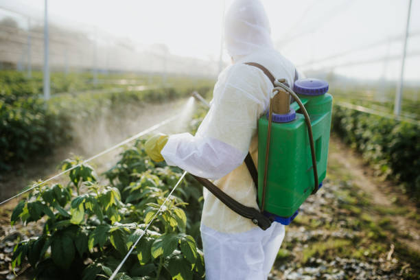 Best Mosquito Control Services  in Kenbridge, VA